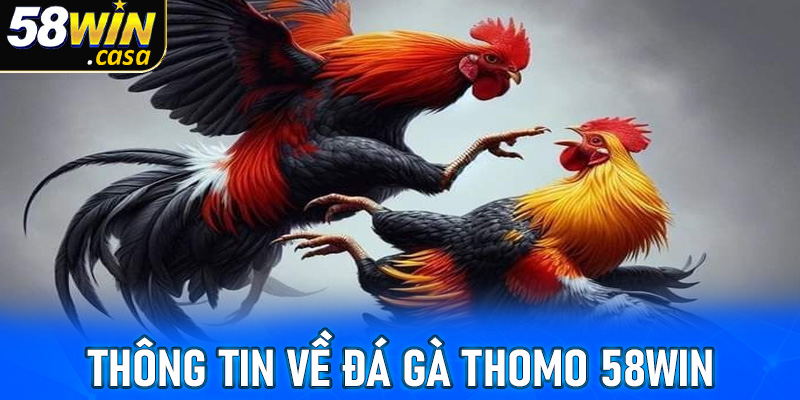 Thông tin về sảnh cược đá gà Thomo 58win