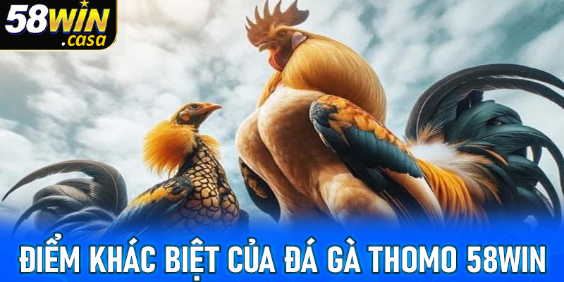 Điểm khác biệt của đá gà Thomo tại 58win