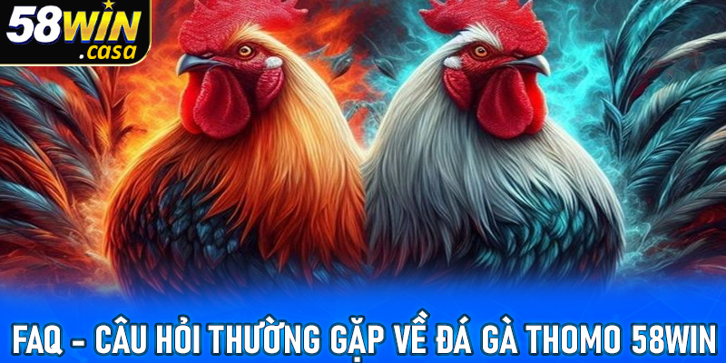 FAQ - Một vài giải đáp cho các câu hỏi thường gặp tại đá gà Thomo 58win