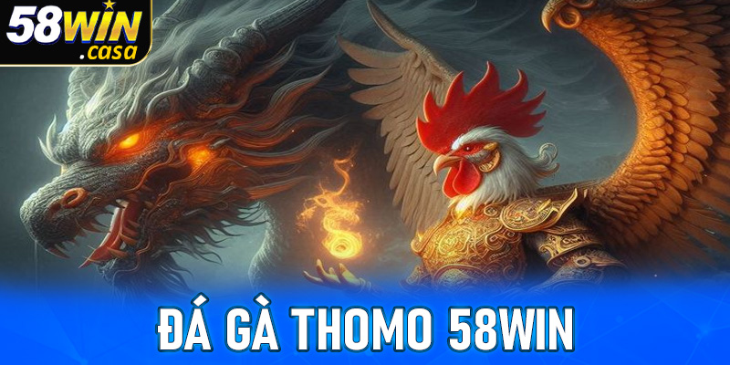 Đá gà Thomo - Điểm đến cá cược đá gà hợp pháp lớn nhất Đông Nam Á 